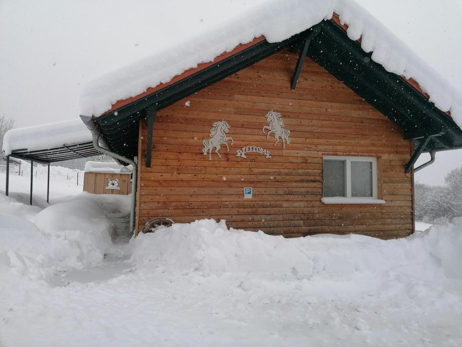 Wild Life Ranch Villa Schofweg Exterior photo